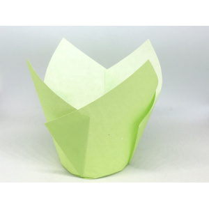 Tulipas Papel Verde Alface (+-20 unid)